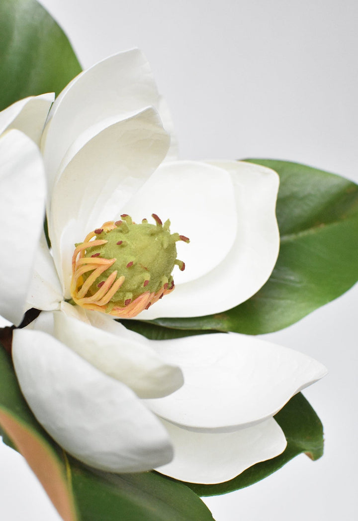 Magnolia Blossom Stem, 24", Real Touch