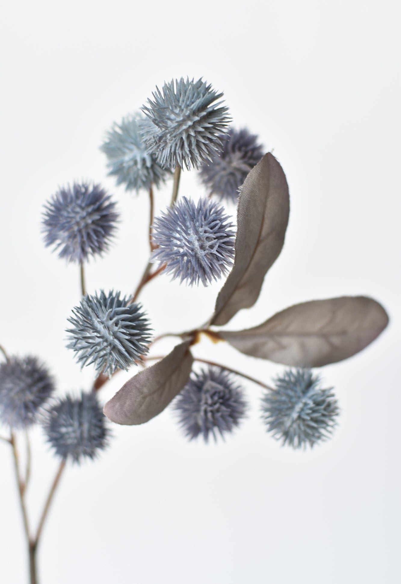 Globe Thistle Stem, 19", Dusty Blue