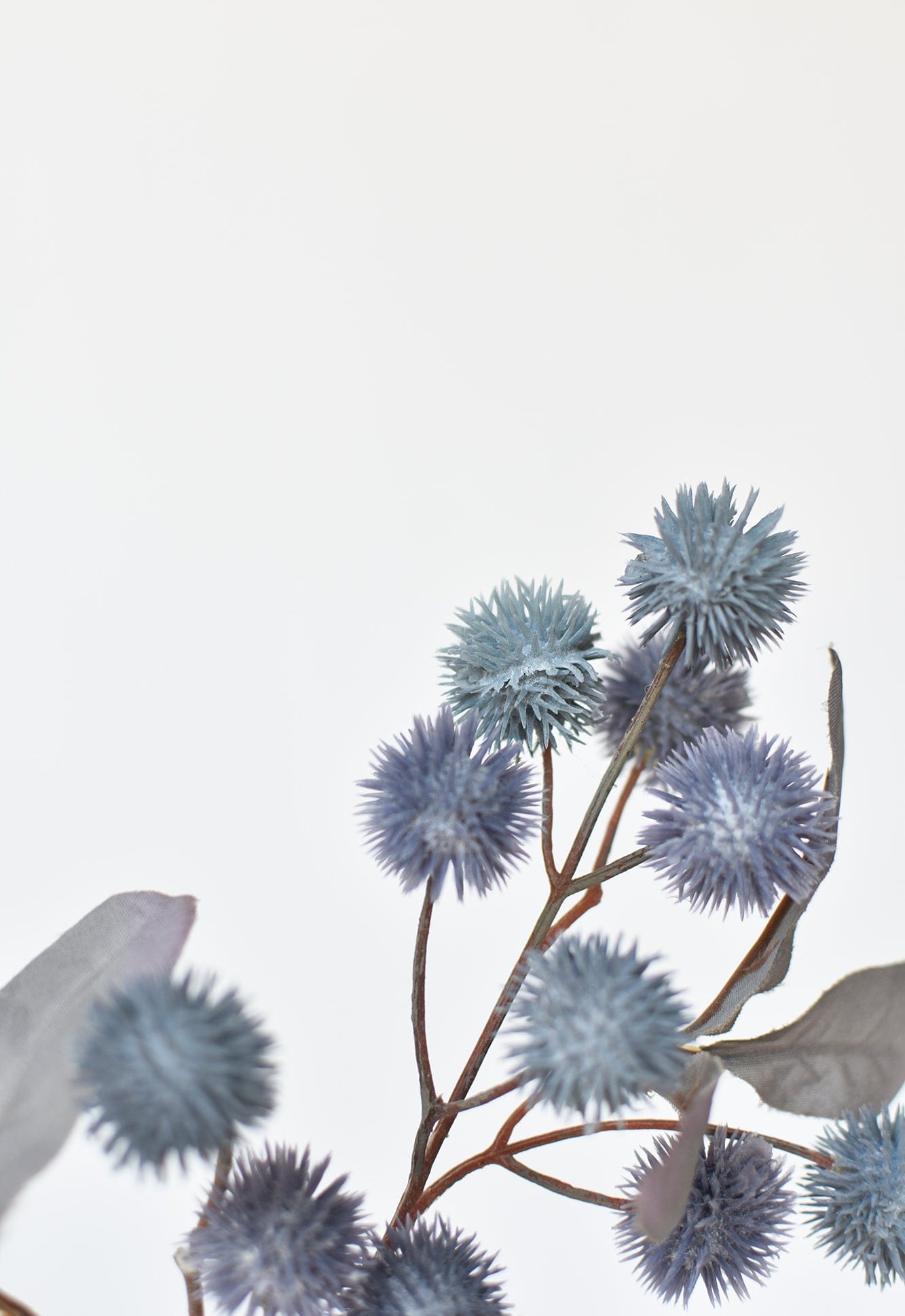 Globe Thistle Stem, 19", Dusty Blue