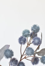 Load image into Gallery viewer, Dusty Blue Globe Thistle Stem, 19&quot;
