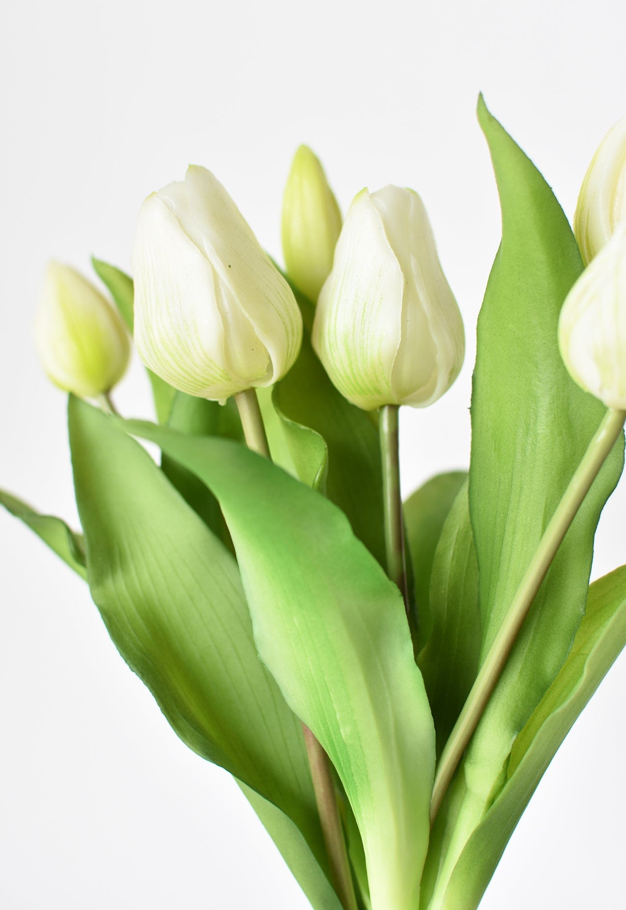 Tulip Stem Bundle, 11.75", White, Real Touch