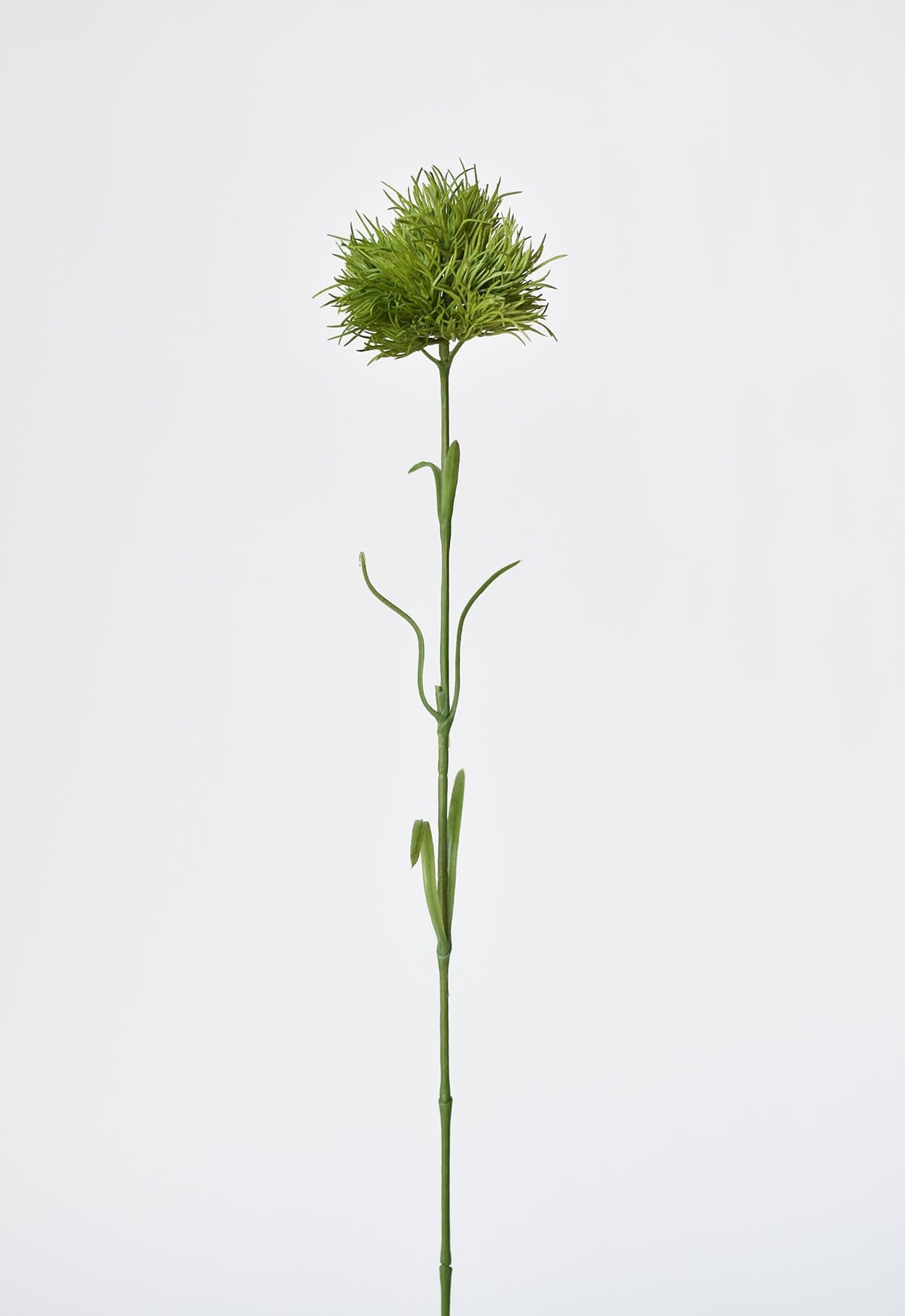 Dianthus Stem, 23", Green, Real Touch