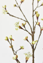 Load image into Gallery viewer, Budding Blossom Branch Stem, 42&quot;
