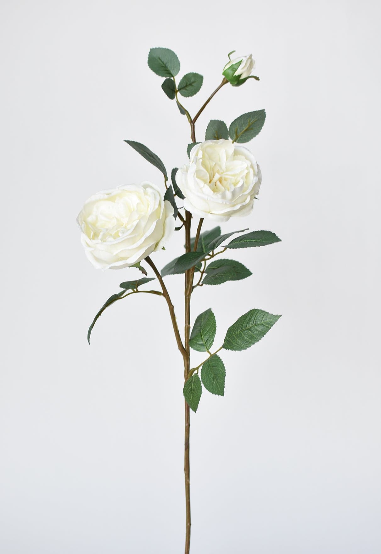 Cabbage Rose Stem, 29", White