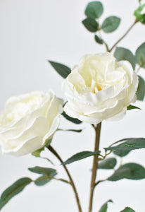 Cabbage Rose Stem, 29", White