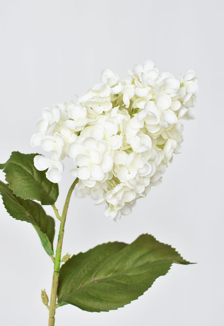 Cone Hydrangea Stem, 28", White