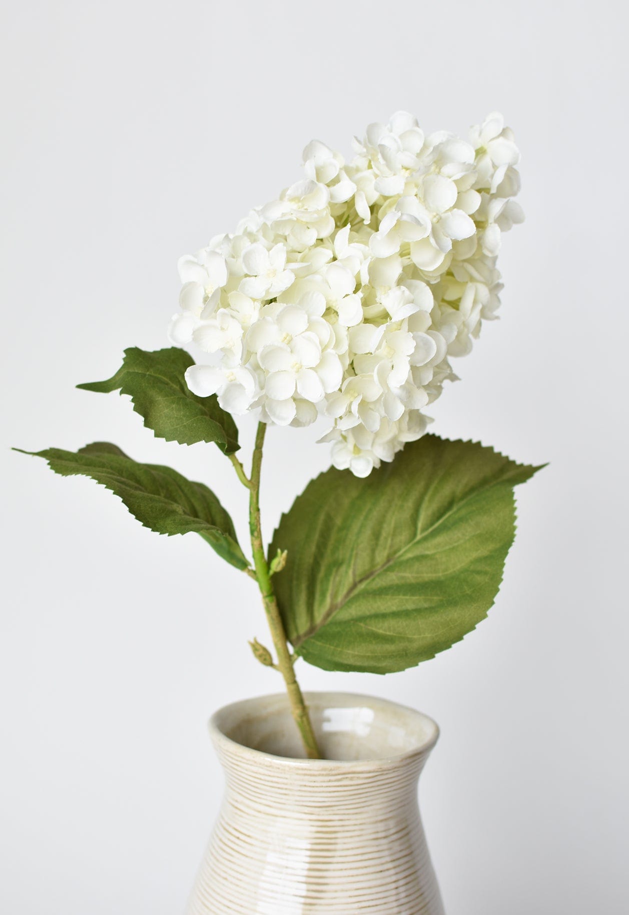 Cone Hydrangea Stem, 28", White