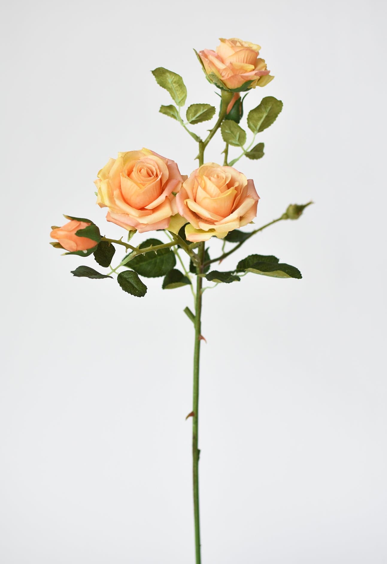 Rose Stem, 22.5", Peach & Orange & Yellow