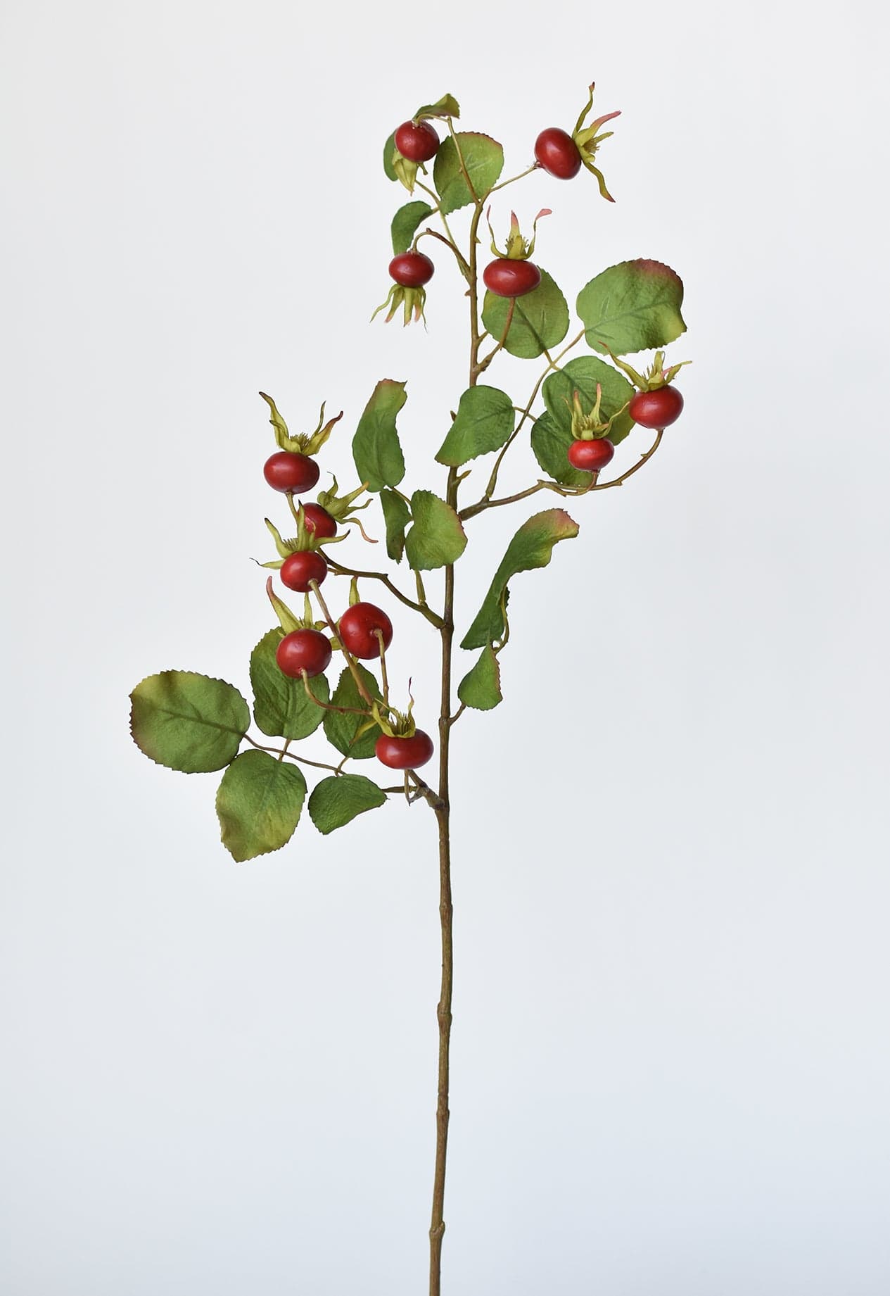 Rosehip Berry Stem, 28", Red