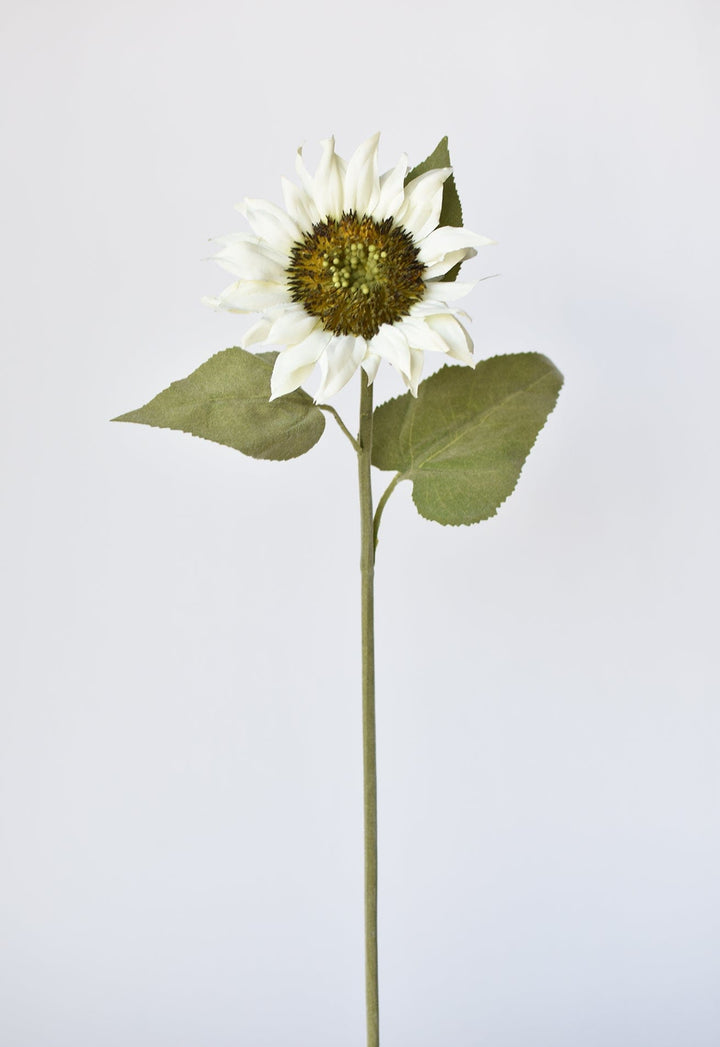 Sunflower Stem, 25", White