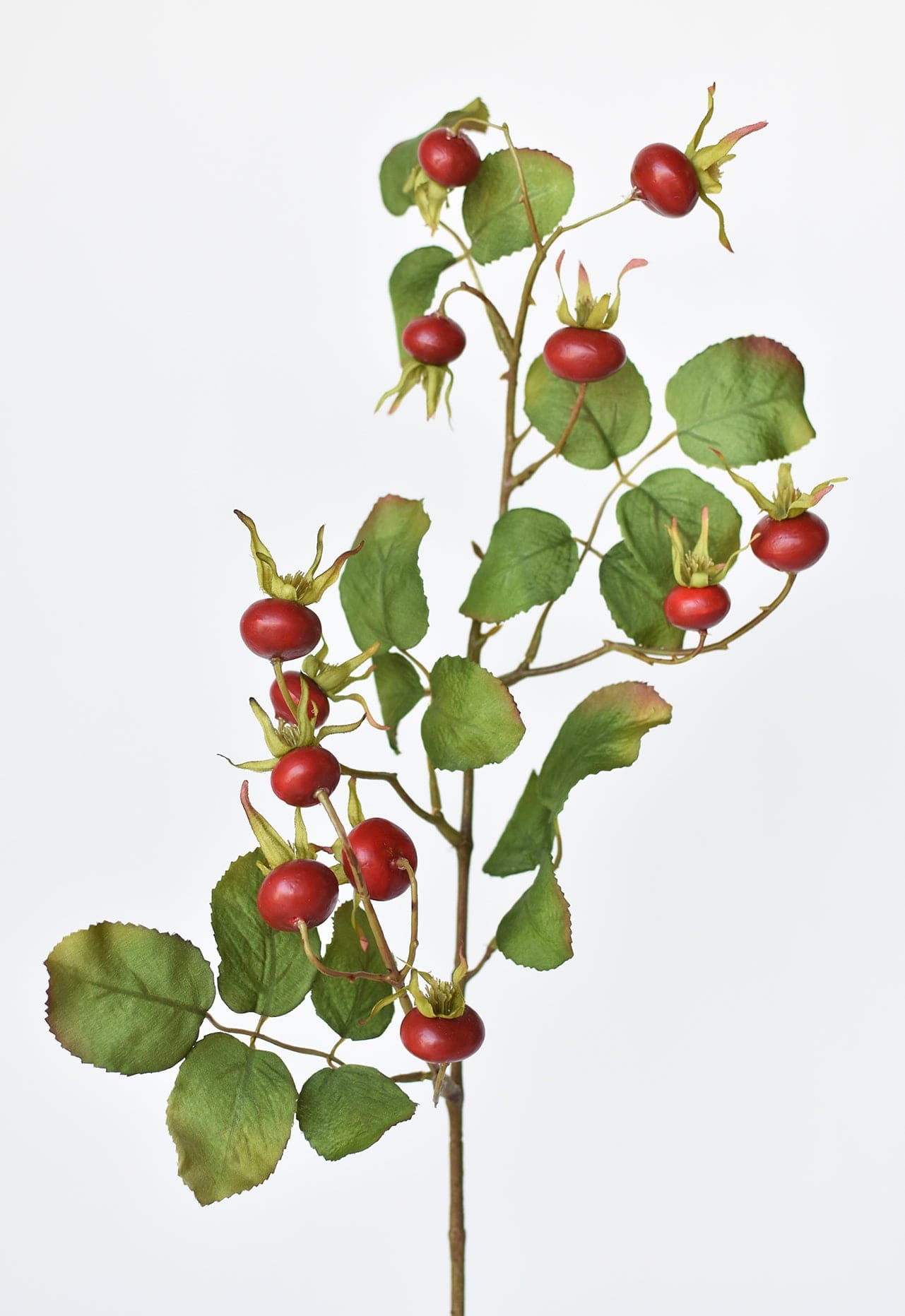 Rosehip Berry Stem, 28", Red