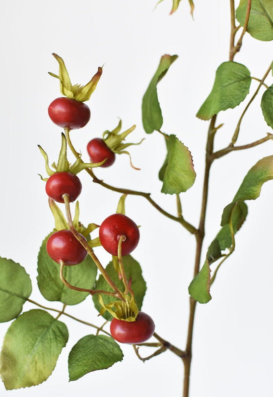 Rosehip Berry Stem, 28", Red