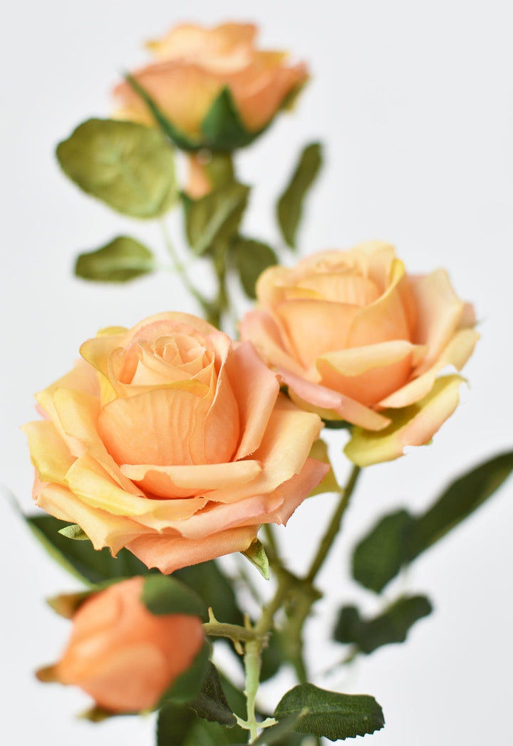 Rose Stem, 22.5", Peach & Orange & Yellow