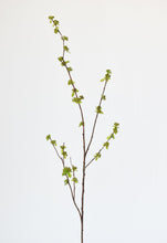 Load image into Gallery viewer, 40&quot; Faux Budding Branch Stem
