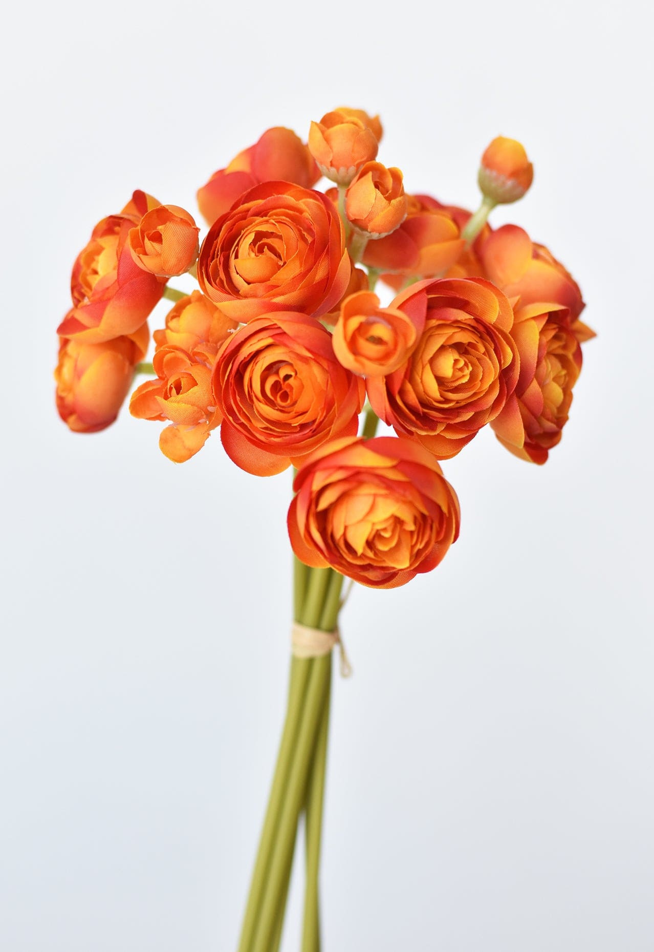 Ranunculus Stem Bundle, 10.5", Peachy Orange