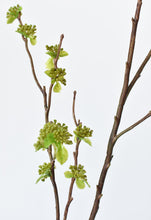 Load image into Gallery viewer, Budding Branch, 40&quot;
