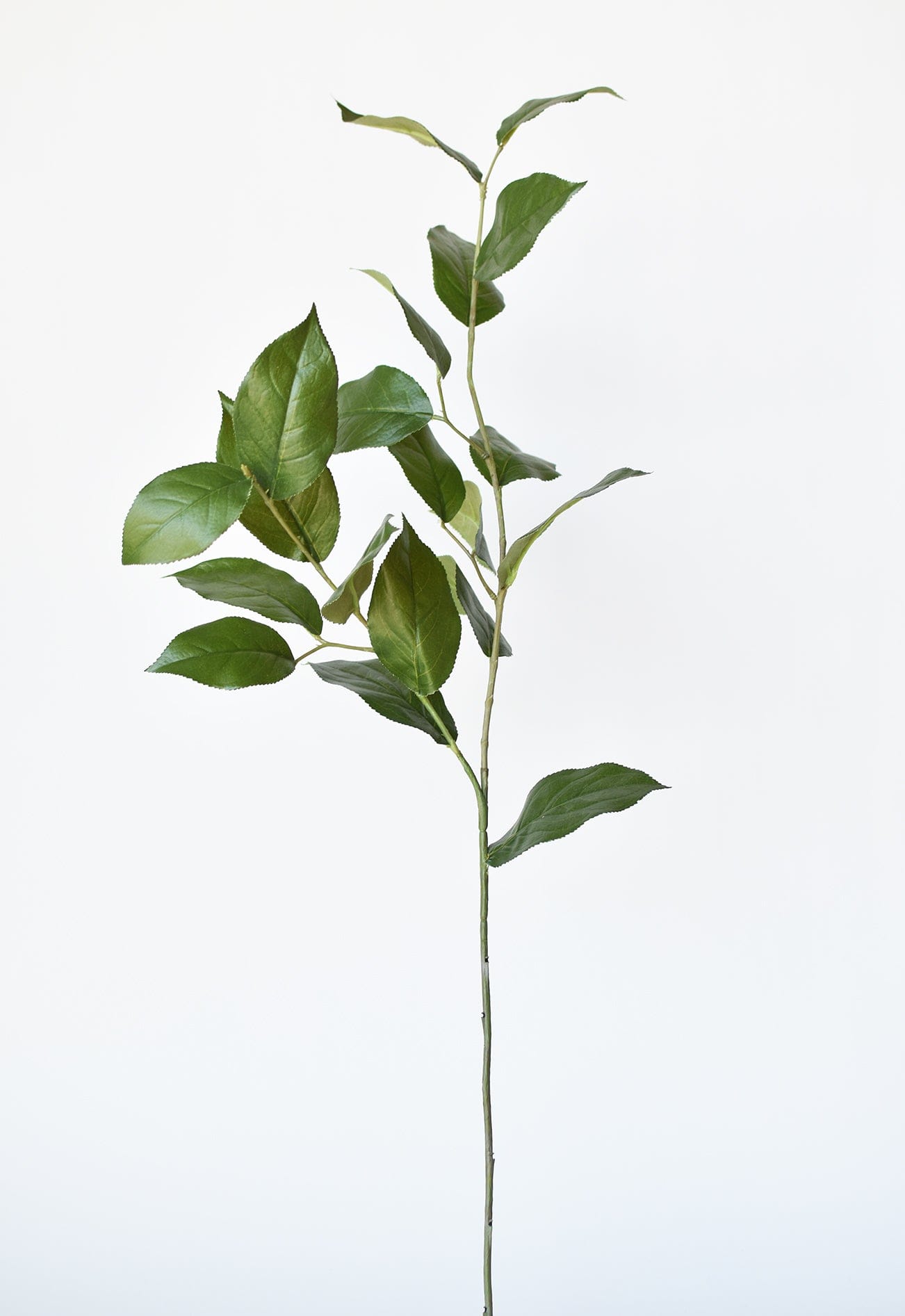 Lemon Leaf Branch, 36"