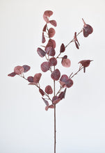 Load image into Gallery viewer, 36&quot; Faux Burgundy Gumdrop Eucalyptus Stem
