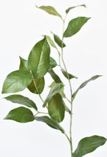 Load image into Gallery viewer, 36&quot; Faux Lemon Leaf Branch Stem
