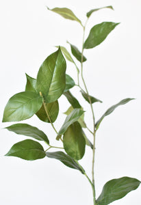 36" Faux Lemon Leaf Branch Stem