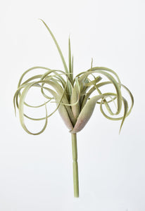 Green and Gray Tillandsia Succulent Pick, 8"