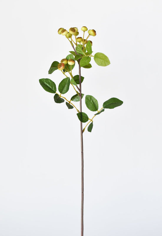 Rosehip Berry Stem, 23"