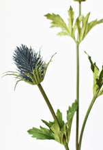 Load image into Gallery viewer, Thistle Stem, 32.5&quot;, Blue
