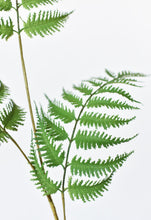 Load image into Gallery viewer, Forest Fern Spray, 33&quot;
