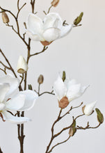 Load image into Gallery viewer, Magnolia Branch, 40&quot;
