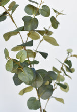 Load image into Gallery viewer, 40&quot; Faux Eucalyptus Stem
