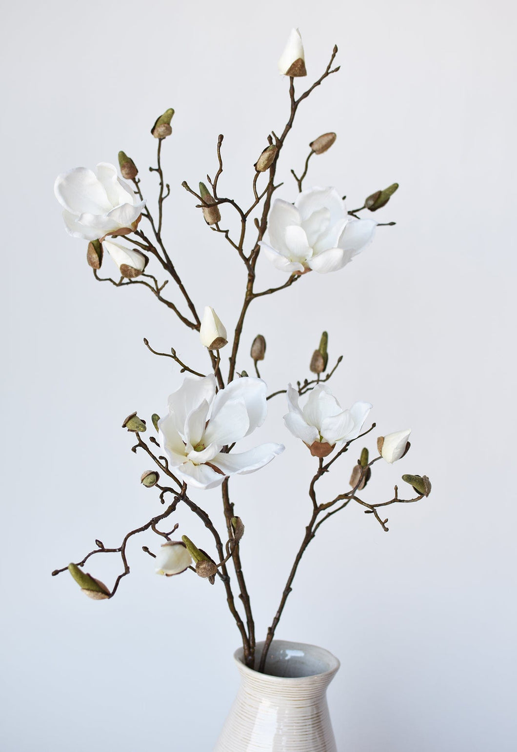 Magnolia Branch, 40