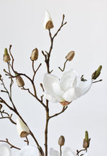 Load image into Gallery viewer, Magnolia Branch, 40&quot;
