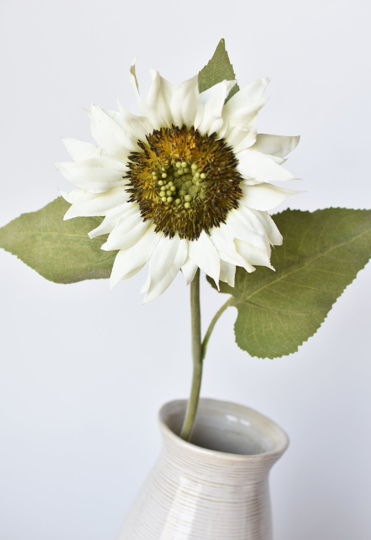 Sunflower Stem, 25", White