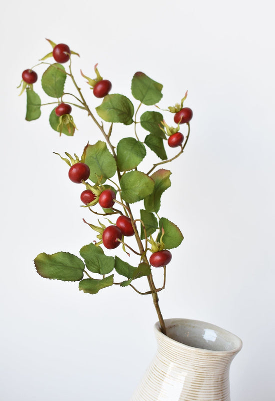 Rosehip Berry Stem, 28", Red