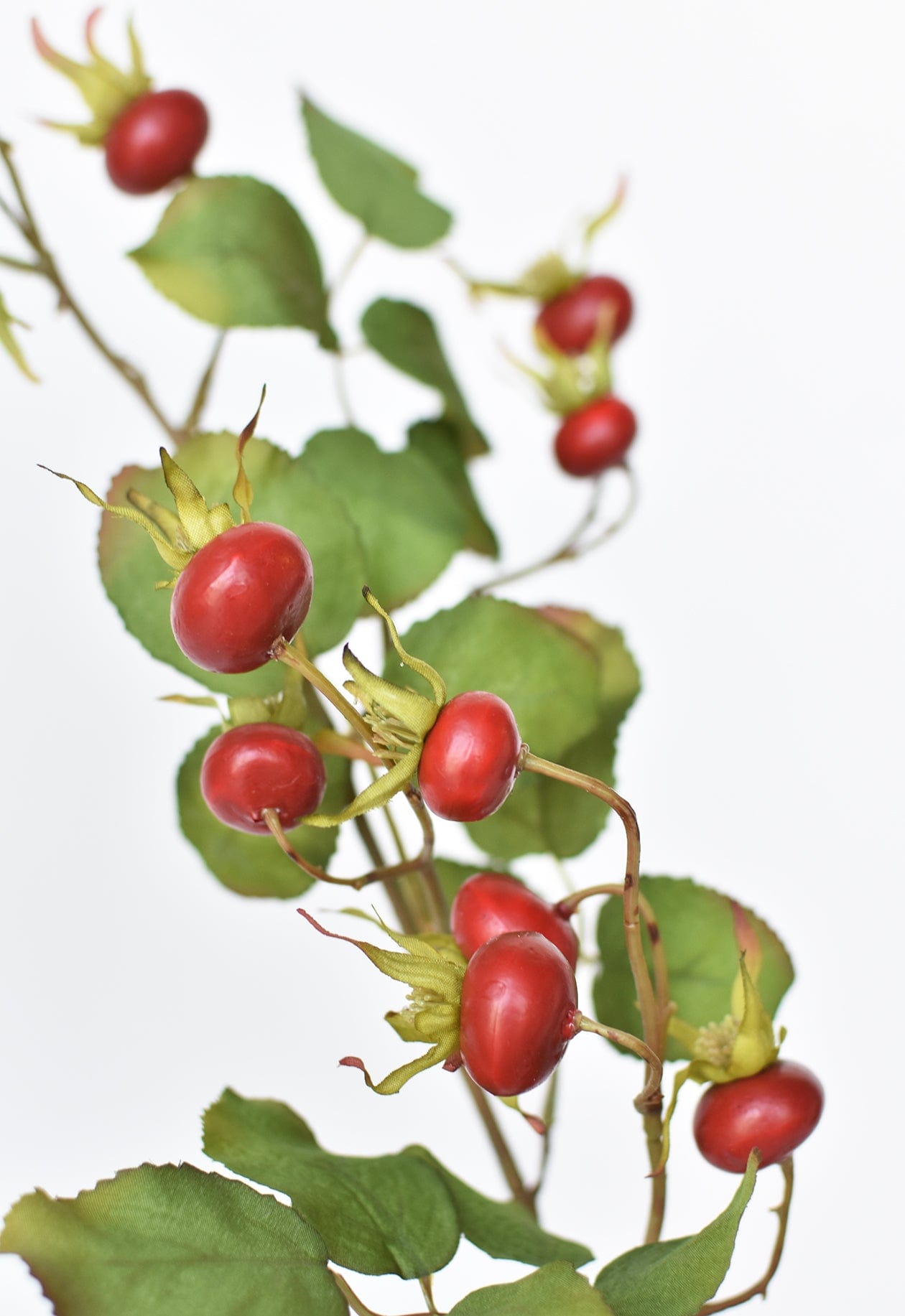 Rosehip Berry Stem, 28", Red