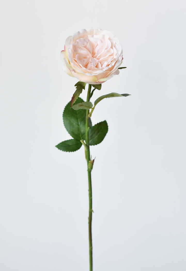 Rose Stem, 20.5", Light Peach Pink