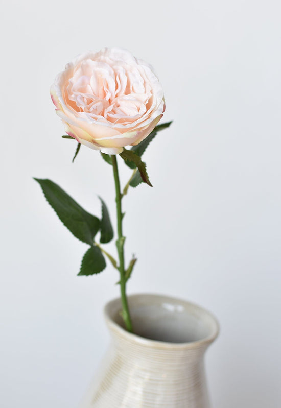 Rose Stem, 20.5", Light Peach Pink