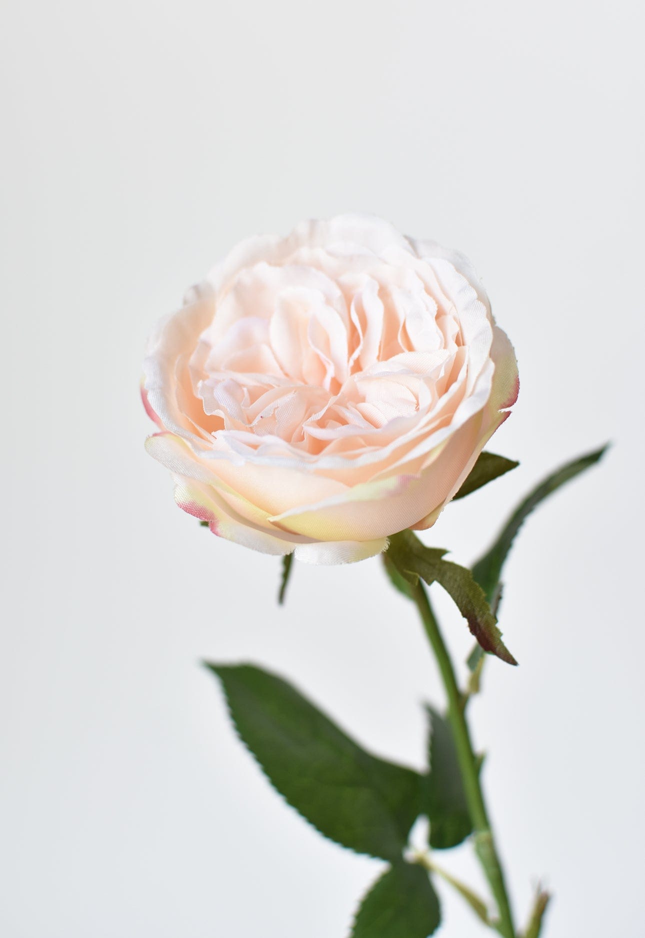 Rose Stem, 20.5", Light Peach Pink