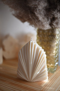 "Palmita" Candle Collection