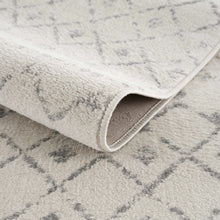 Load image into Gallery viewer, Tigrican Ivory Area Rug
