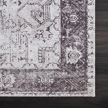 Load image into Gallery viewer, Rosman Gray Washable Area Rug
