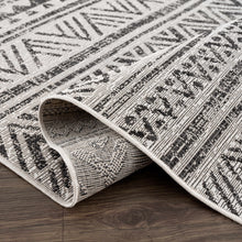 Load image into Gallery viewer, Catrine Area Rug
