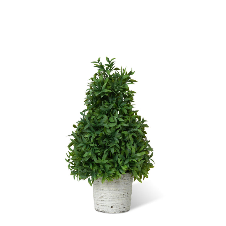 Mountain Savory Cone Topiary, Small