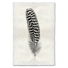 Load image into Gallery viewer, Feather Study #13 (Mottled Peacock Wing Quill)

