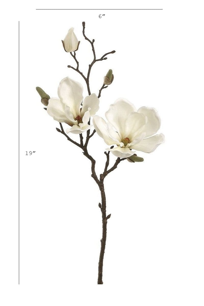 Magnolia Stem, 19", White