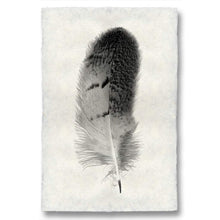 Load image into Gallery viewer, Feather Study #7 (Owl)
