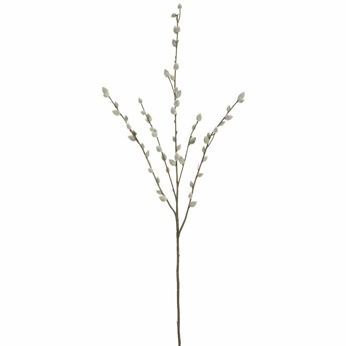 Pussy Willow Stem, 31"