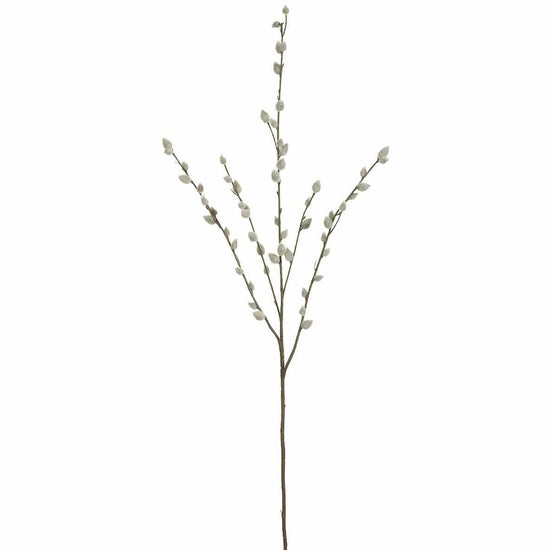 Pussy Willow Stem, 31"