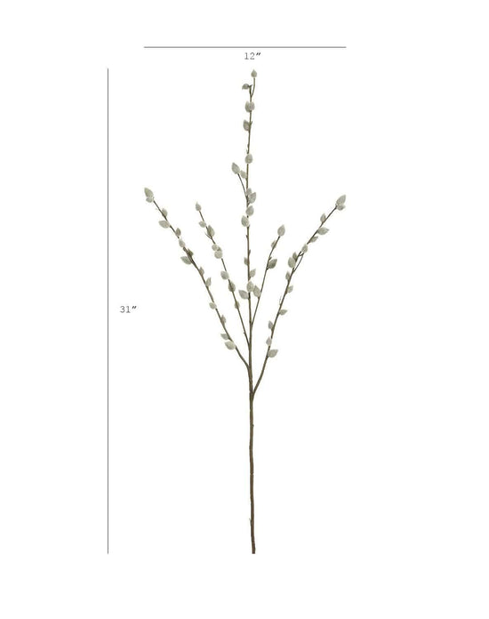 Pussy Willow Stem, 31"