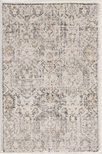 Load image into Gallery viewer, Parkerfield Area Rug
